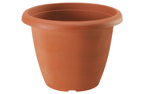 Terrae Vaso Campana