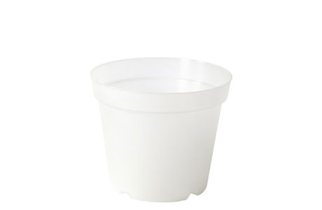 Vaso Orchidea 13 Bianco Alabastro