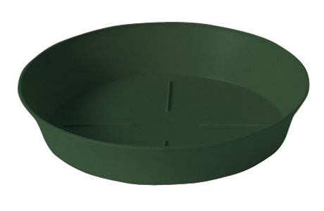 Sottovaso Export 10 Verde