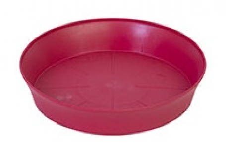 Sottovaso Export 16 Rosso Ciliegia