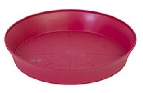 Sottovaso Export 22 Rosso Ciliegia