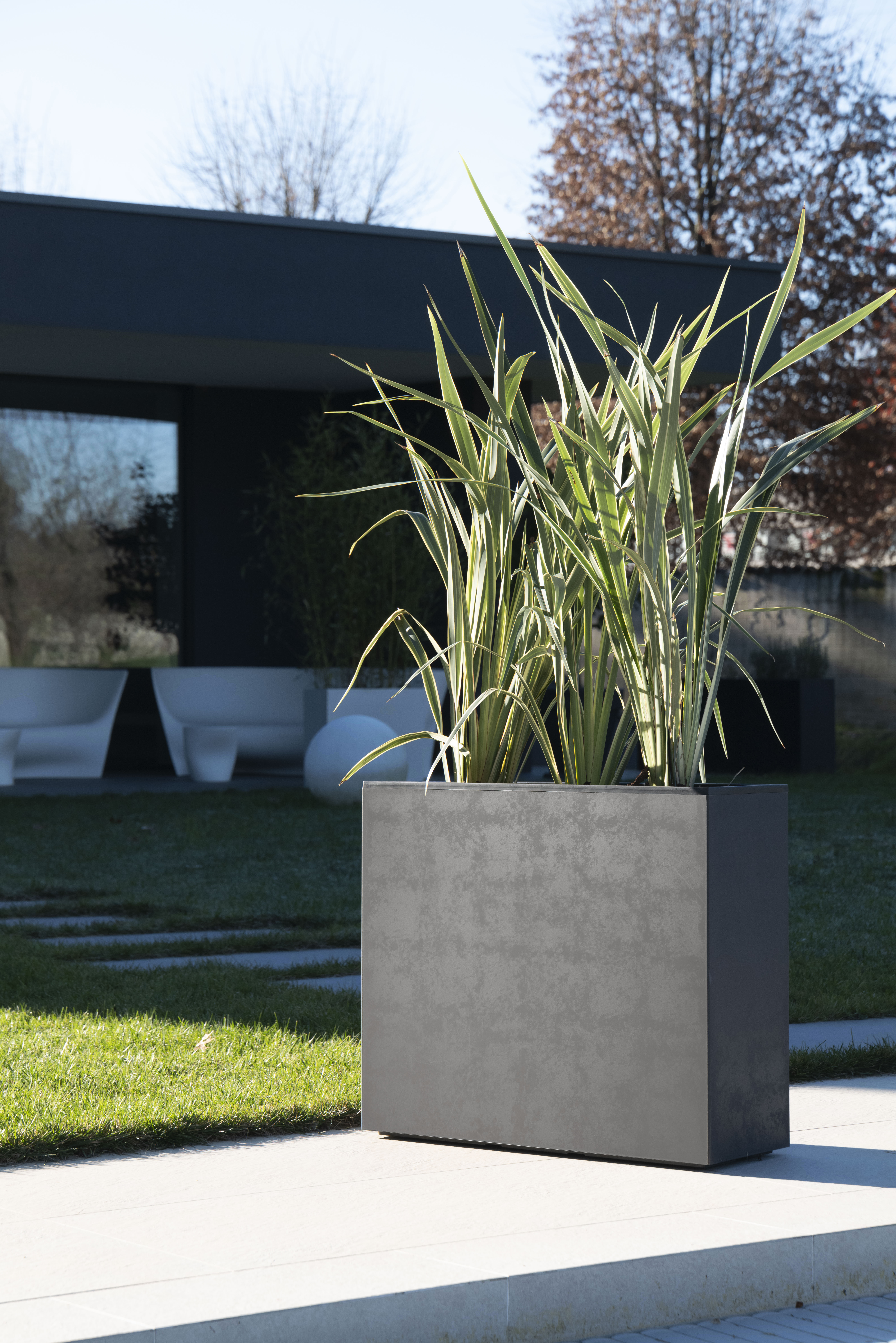 nei tuoi spazi esterni