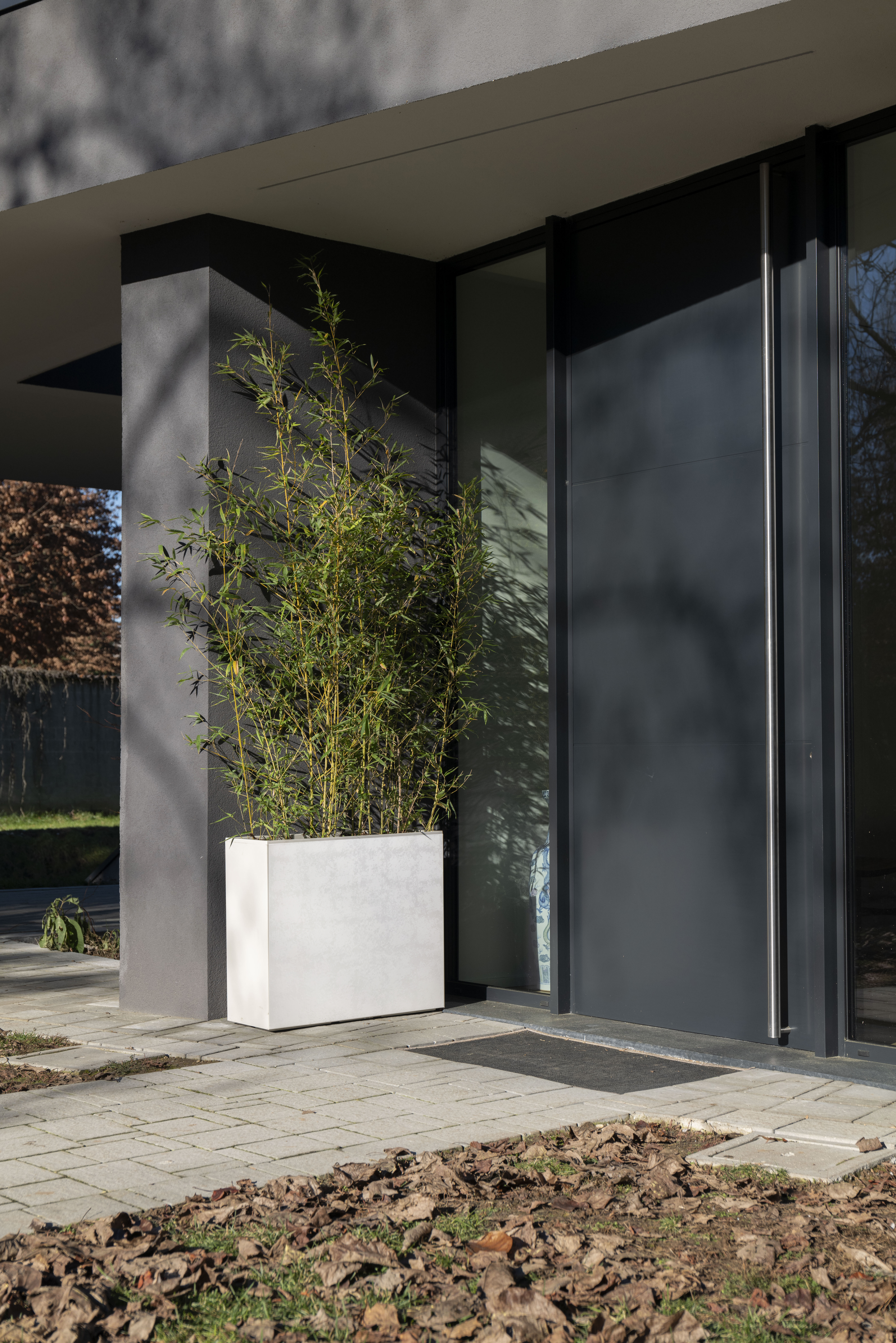 nei tuoi spazi esterni