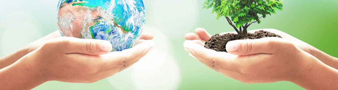 Quality and environmental sustainability Quality and environmental sustainability