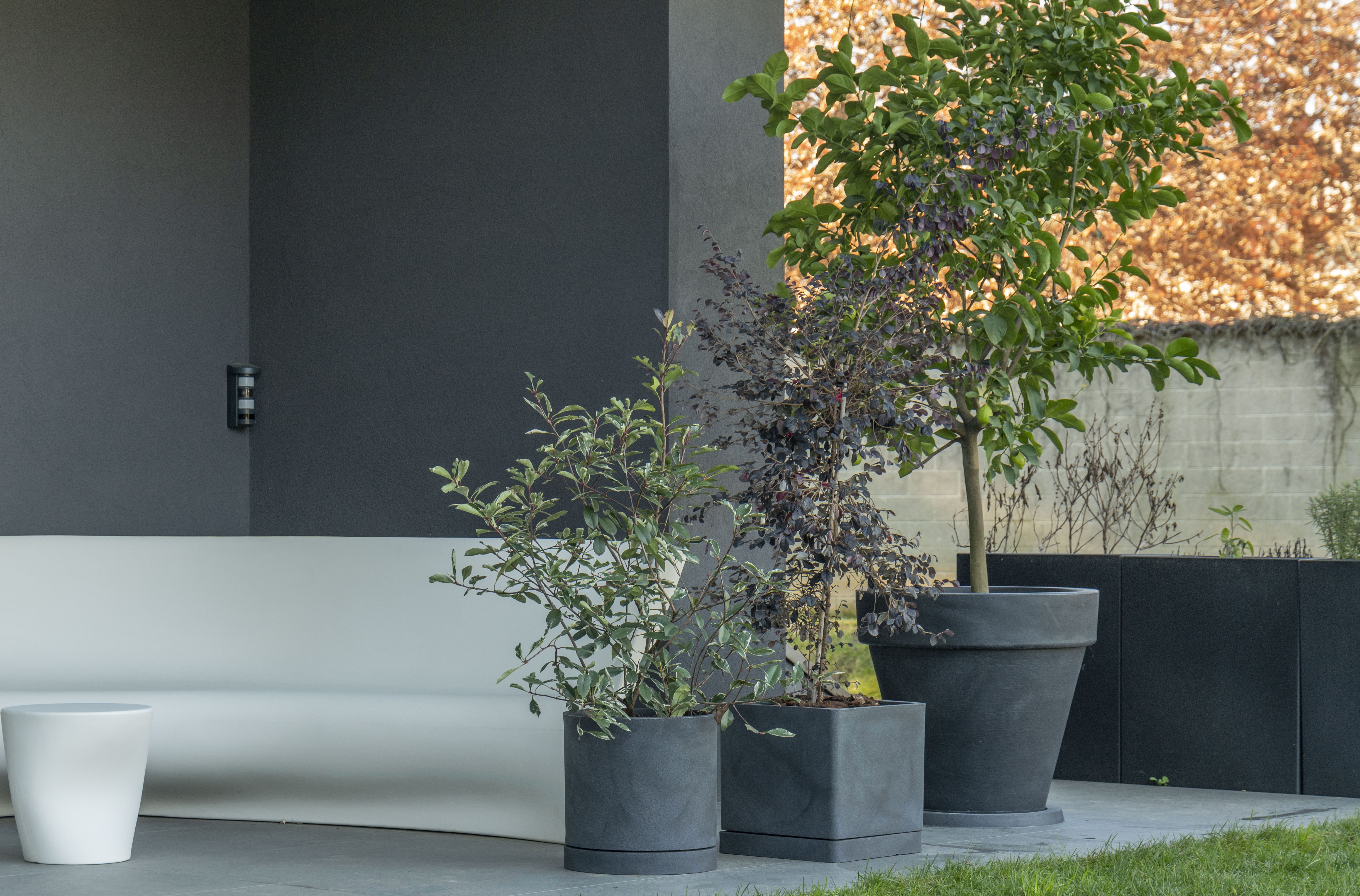 Decor Collection Decor Collection