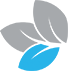 Sustainability in the Production and Logistics phase